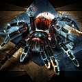 Alien Like Tarantula
