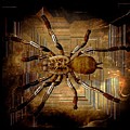Custom Black and Brown Creepy Spider